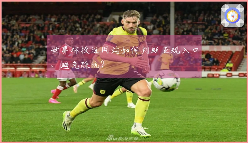 世界杯投注网站如何判断正规入口，避免踩坑？