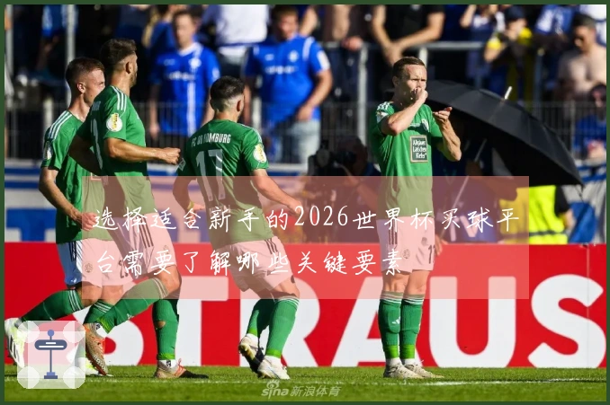 选择适合新手的2026世界杯买球平台需要了解哪些关键要素
