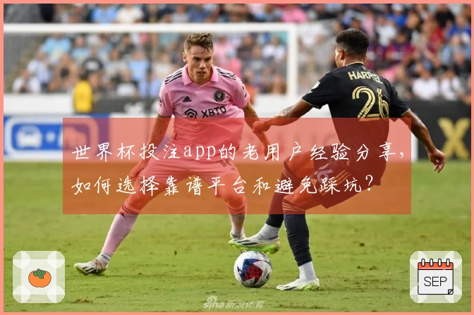 世界杯投注app的老用户经验分享，如何选择靠谱平台和避免踩坑？