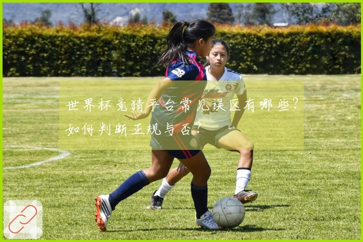 世界杯竞猜平台常见误区有哪些？如何判断正规与否？