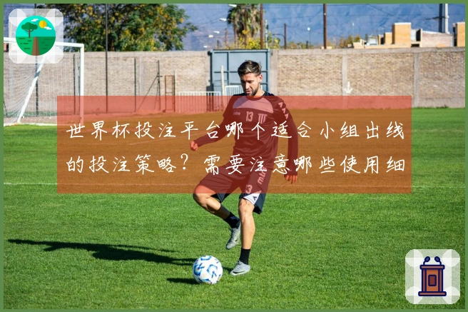 世界杯投注平台哪个适合小组出线的投注策略？需要注意哪些使用细节？