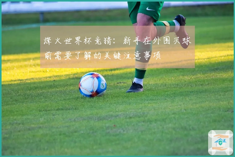 烽火世界杯竞猜:新手在外围买球前需要了解的关键注意事项