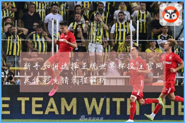 新手如何选择正规世界杯投注官网及体彩竞猜流程解析