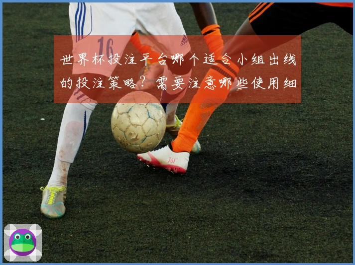 世界杯投注平台哪个适合小组出线的投注策略？需要注意哪些使用细节？
