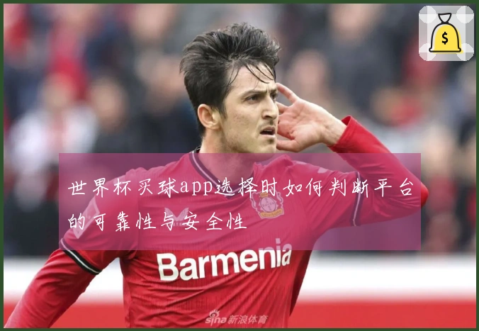 世界杯买球app选择时如何判断平台的可靠性与安全性