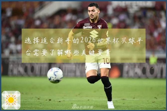 选择适合新手的2026世界杯买球平台需要了解哪些关键要素