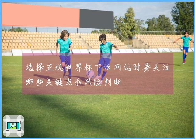 选择正规世界杯下注网站时要关注哪些关键点和风险判断