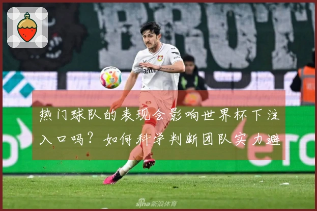 热门球队的表现会影响世界杯下注入口吗？如何科学判断团队实力避免误区
