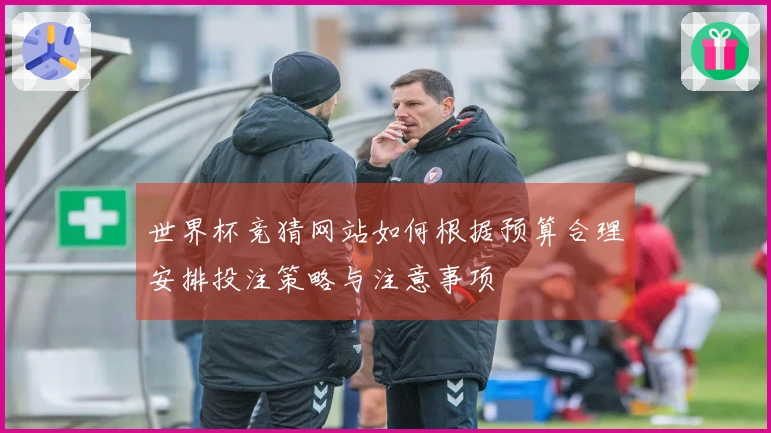 世界杯竞猜网站如何根据预算合理安排投注策略与注意事项