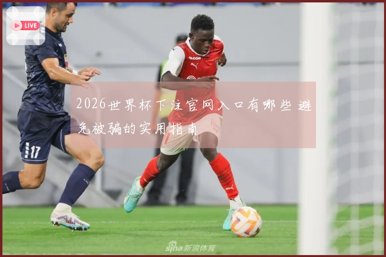 2026世界杯下注官网入口有哪些 避免被骗的实用指南
