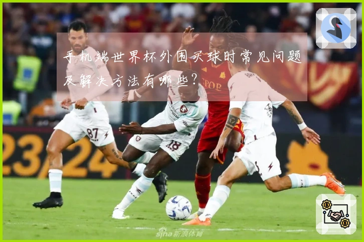 手机端世界杯外围买球时常见问题及解决方法有哪些？