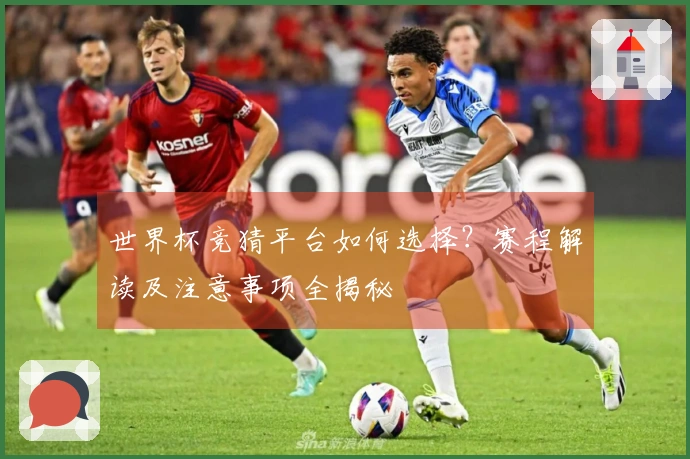 世界杯竞猜平台如何选择？赛程解读及注意事项全揭秘