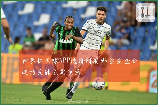 世界杯买球APP选择时有哪些安全合规的关键点需注意