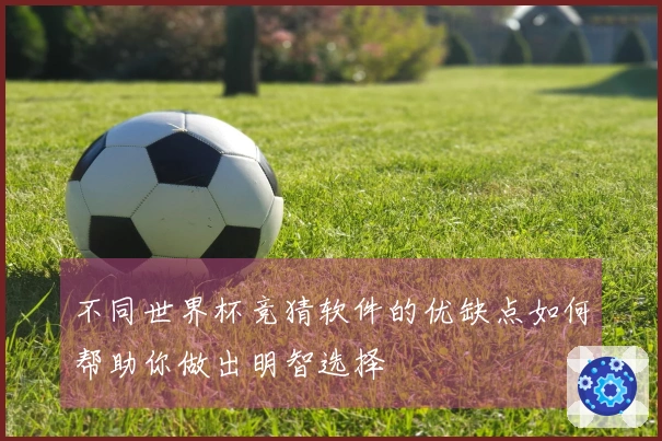 不同世界杯竞猜软件的优缺点如何帮助你做出明智选择