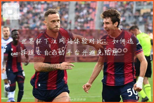 世界杯下注网站体验对比：如何选择适合自己的平台并避免陷阱