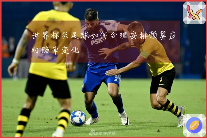 世界杯买足球如何合理安排预算应对赔率变化