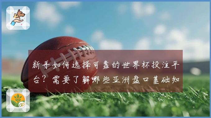 新手如何选择可靠的世界杯投注平台？需要了解哪些亚洲盘口基础知识？