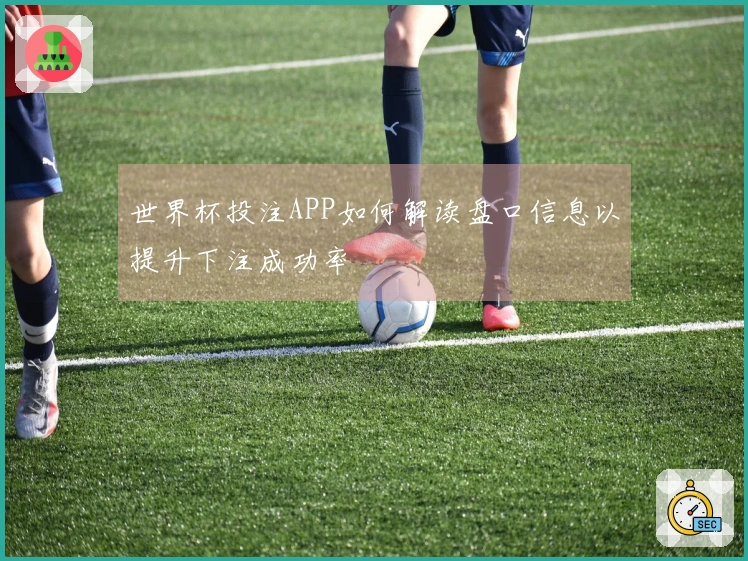 世界杯投注APP如何解读盘口信息以提升下注成功率