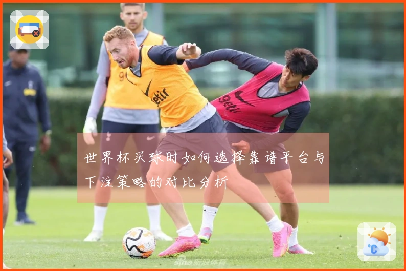 世界杯买球时如何选择靠谱平台与下注策略的对比分析