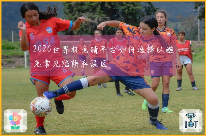 2026世界杯竞猜平台如何选择以避免常见陷阱和误区