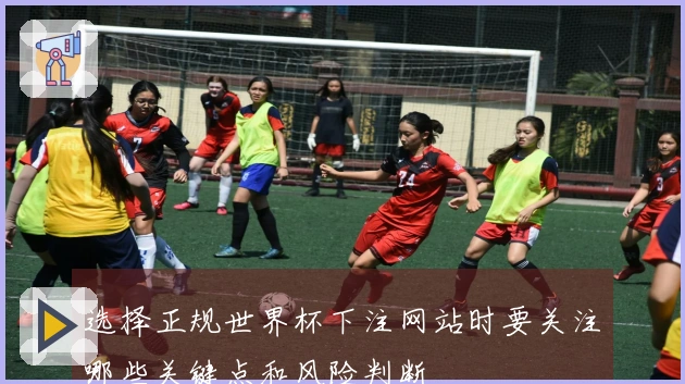 选择正规世界杯下注网站时要关注哪些关键点和风险判断