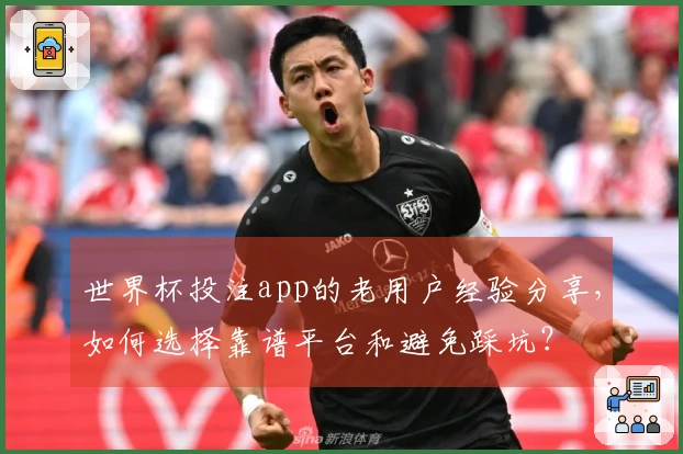 世界杯投注app的老用户经验分享,如何选择靠谱平台和避免踩坑?