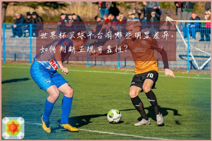 世界杯买球平台有哪些明显差异，如何判断正规可靠性？