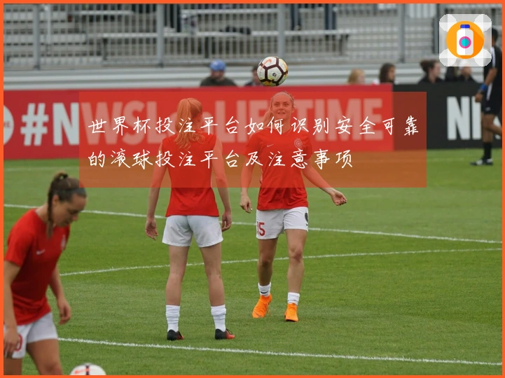 世界杯投注平台如何识别安全可靠的滚球投注平台及注意事项