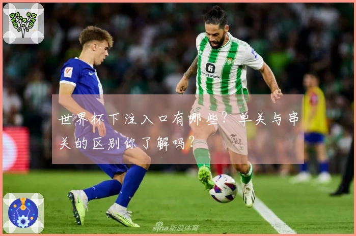 世界杯下注入口有哪些？单关与串关的区别你了解吗？