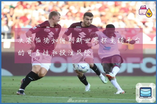 决赛临场如何判断世界杯竞猜平台的可靠性和投注风险